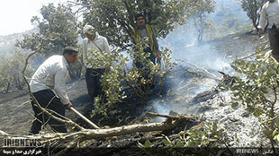 فرماندار: مهار آتش سوزی در جنگل های منطقه بلوران کوهدشت/ منابع محلی: ادامه دارد