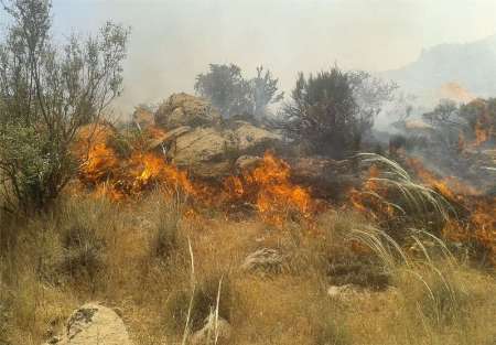 تلاش برای مهار آتش سوزی جنگل های کوهدشت ادامه دارد/ ضرورت همراهی مردم و سازمان های مردم نهاد