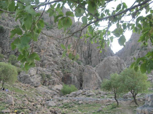 منطقه گردشگری روستای حسن گاویار دلفان