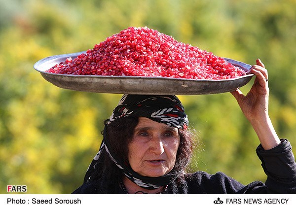 انار سیاب به اسم برخی استان ها صادر و به فروش می رسد/ بازار گرم دلالان و واسطه ها