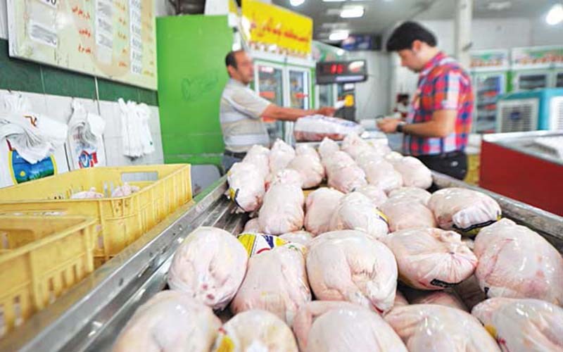 فروش مرغ هر کیلوگرم بیش از ۱۵ هزار تومان در لرستان تخلف است   